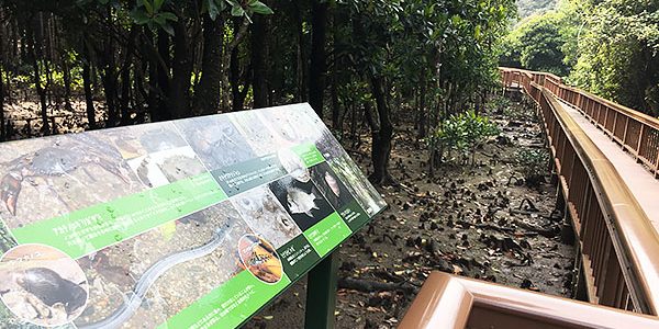 2017.03.20_ga_アイキャッチ