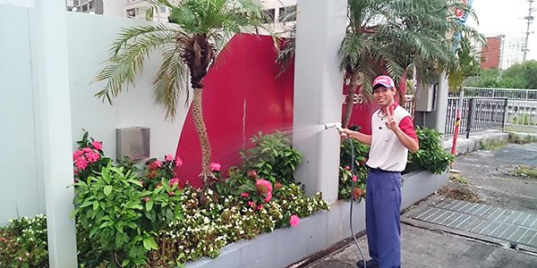 2018.07.23_ss_アイキャッチ