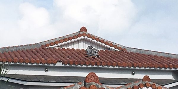 2018.12.10_do_01_アイキャッチ