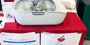 2019.11.01-2_gas_05_アイキャッチ