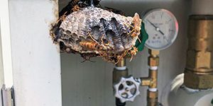 2019.12.02-2_gas_03_アイキャッチ