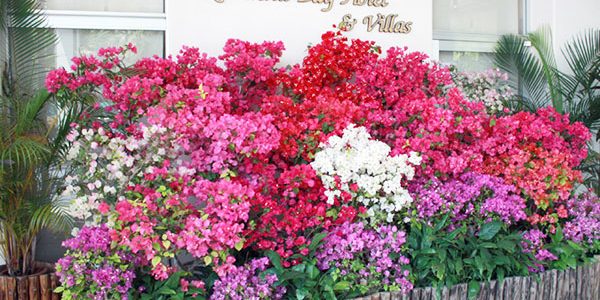 2020.04.30_ss_04_アイキャッチ