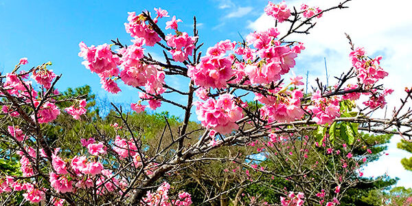 2023.02.20_ss_アイキャッチ