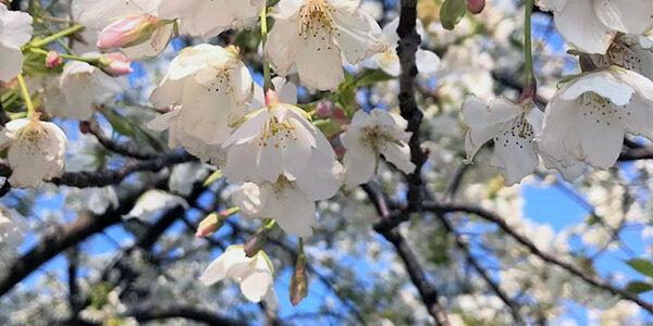 2023.03.20_ga_01_アイキャッチ