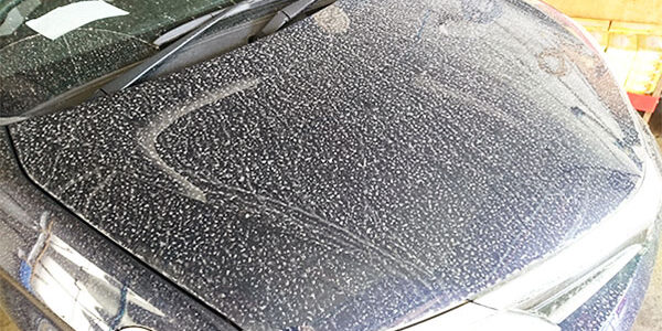 2023.04.24_ss_05アイキャッチ