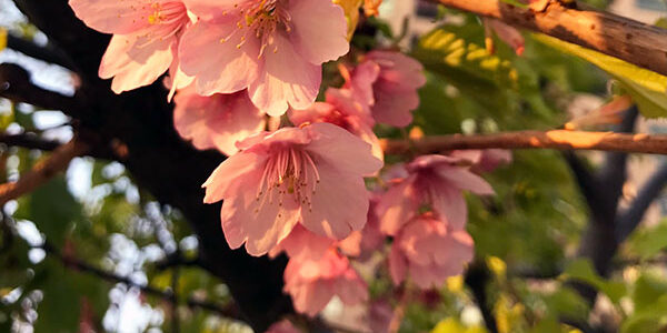 2024.3.20-ga-01_アイキャッチ