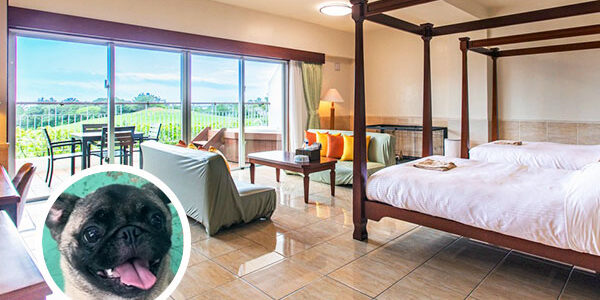 2024.10.30_ga_アイキャッチ